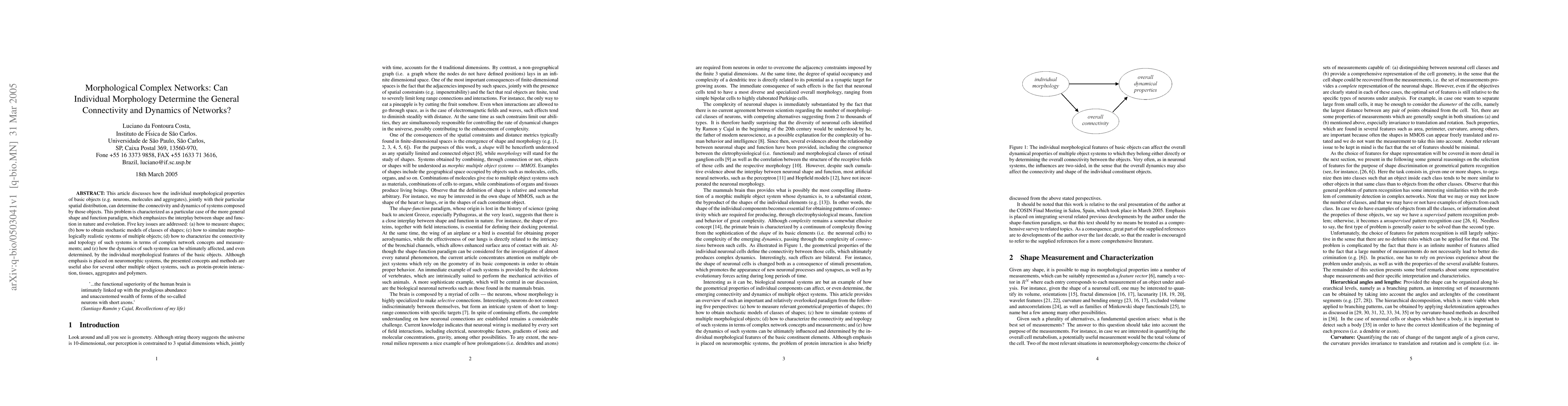 Thumbnail for Morphological complex networks: Can individual morphology determine the
  general connectivity and dynamics of networks?