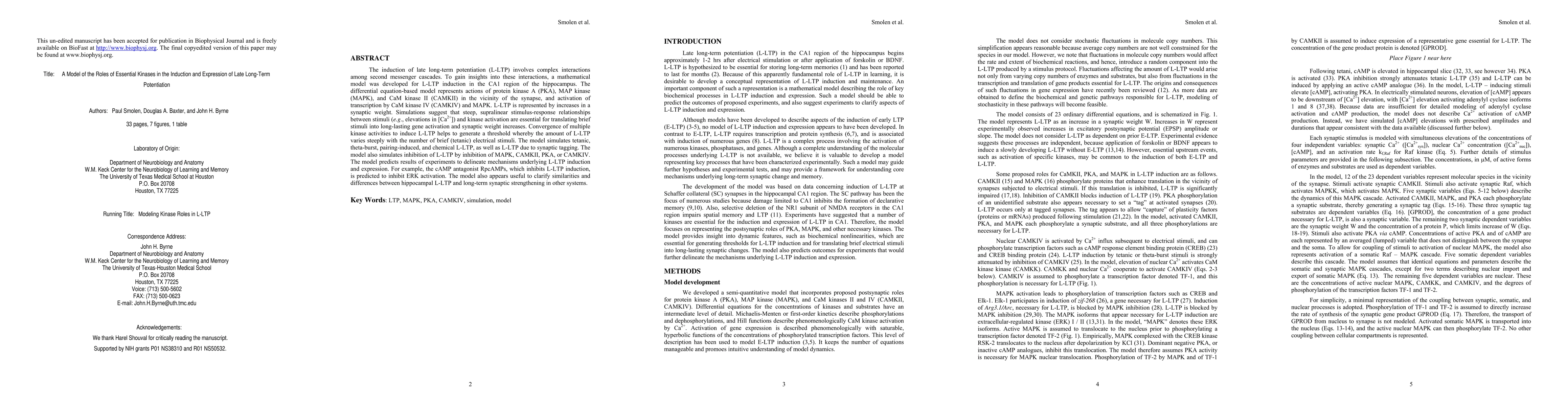 Thumbnail for A Model of the Roles of Essential Kinases in the Induction and
  Expression of Late Long-Term Potentiation