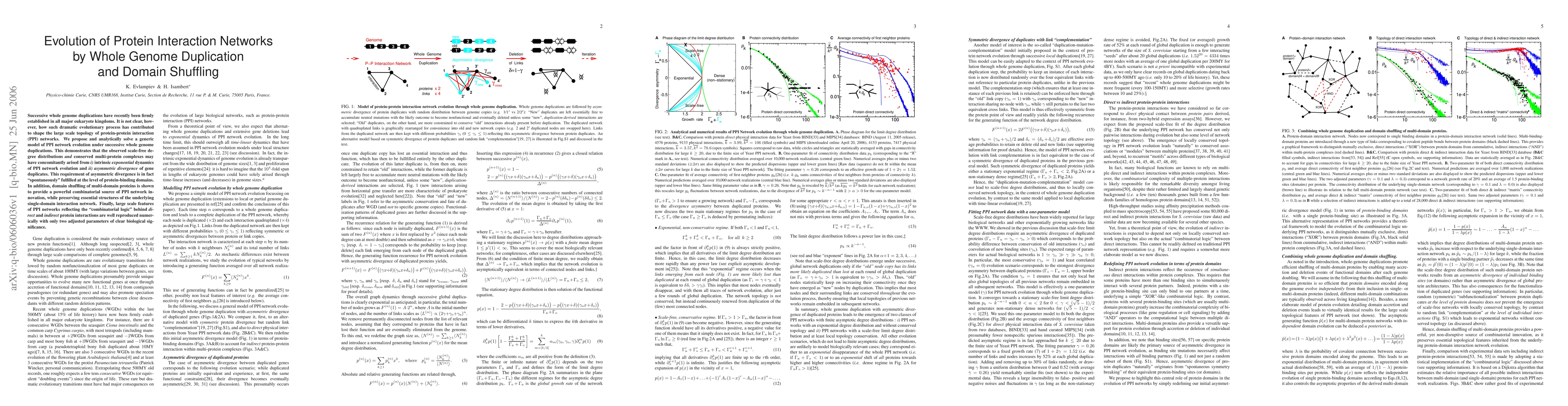 Thumbnail for Evolution of Protein Interaction Networks by Whole Genome Duplication
  and Domain Shuffling