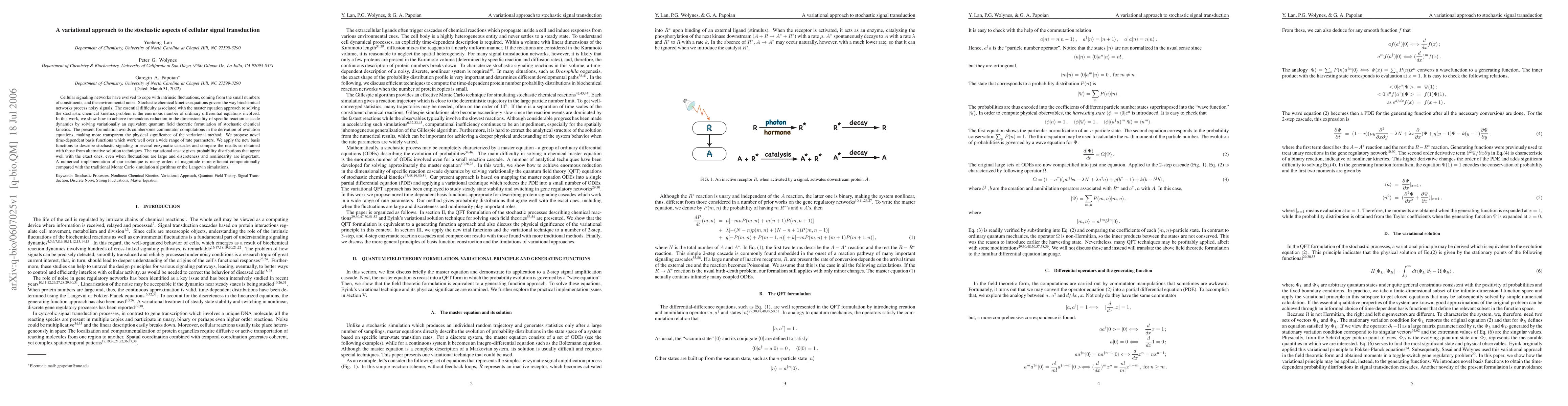 Thumbnail for A variational approach to the stochastic aspects of cellular signal
  transduction