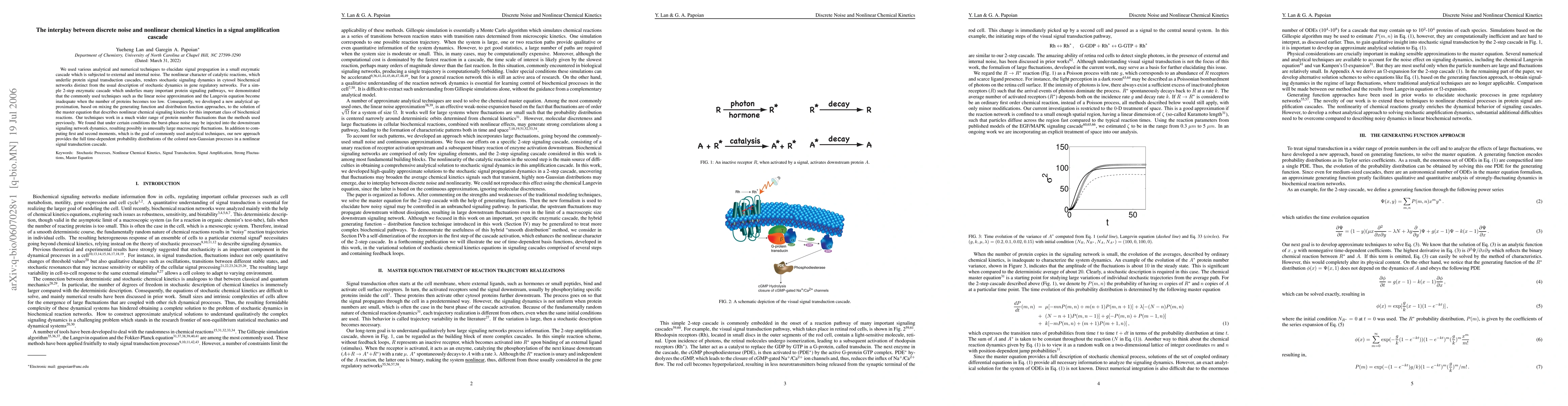 Thumbnail for The interplay between discrete noise and nonlinear chemical kinetics in
  a signal amplification cascade