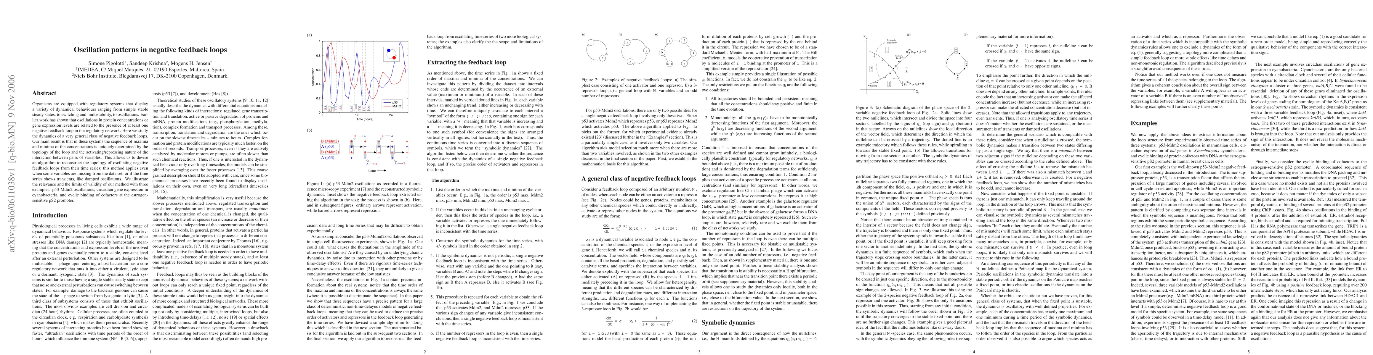 Thumbnail for Oscillation patterns in negative feedback loops