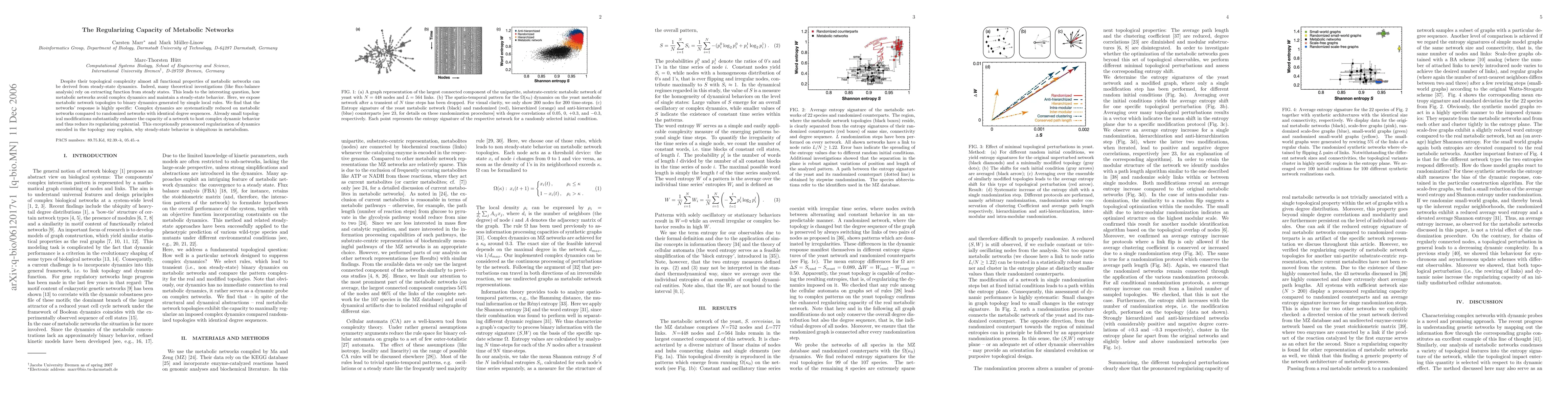 Thumbnail for The Regularizing Capacity of Metabolic Networks