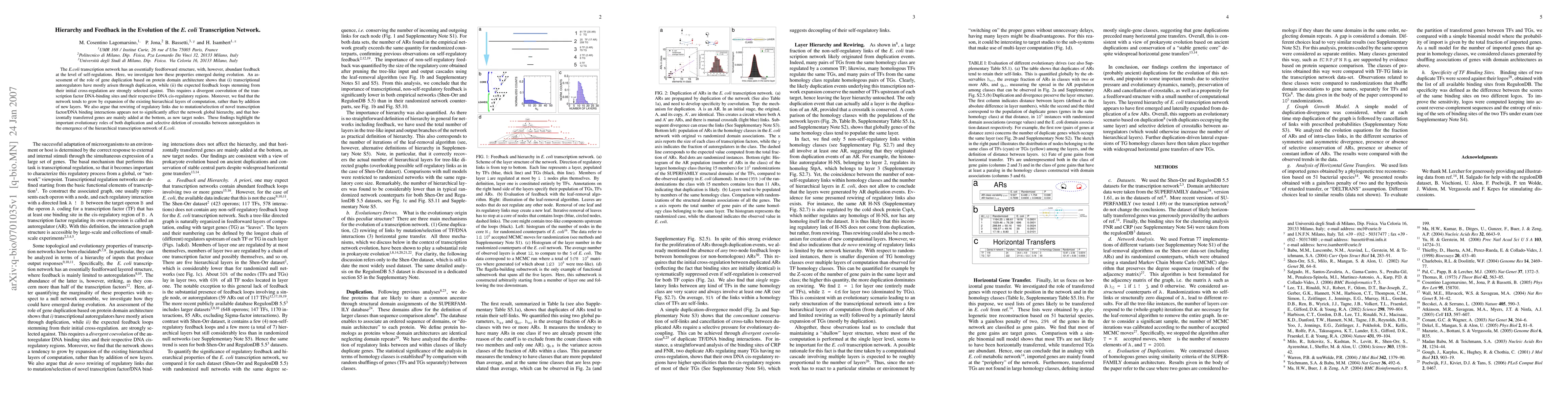 Thumbnail for Hierarchy and Feedback in the Evolution of the E. coli Transcription
  Network