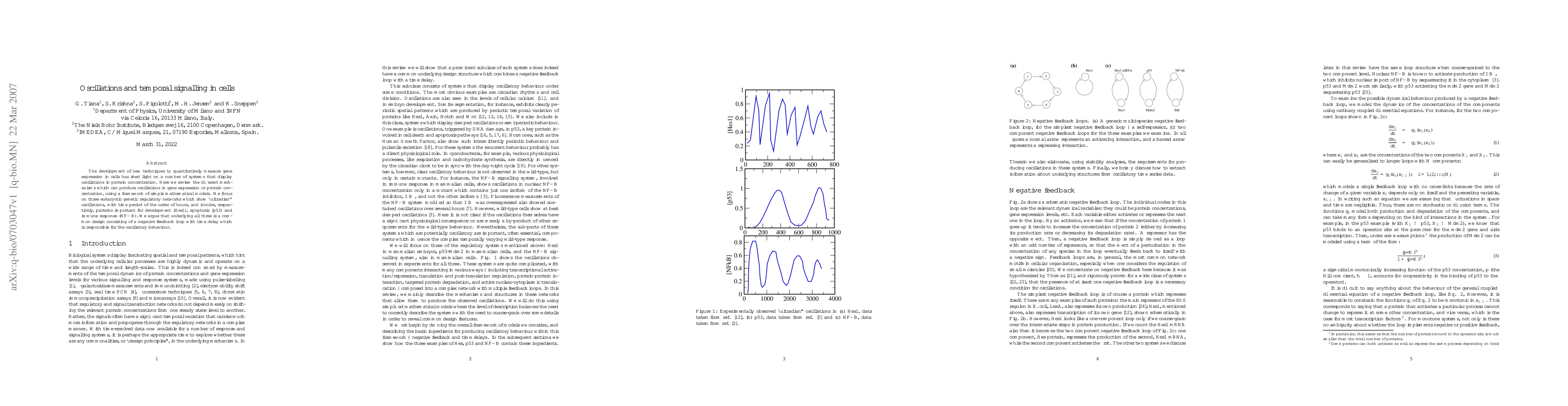 Thumbnail for Oscillations and temporal signalling in cells