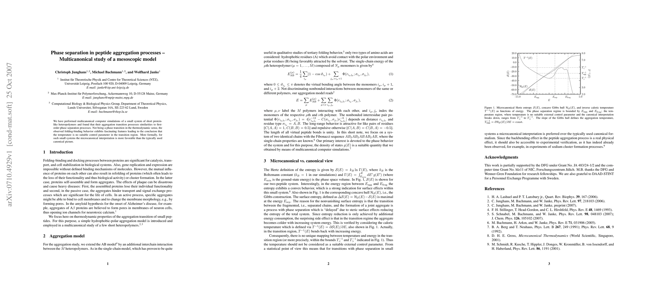 Thumbnail for Phase Separation in Peptide Aggregation Processes - Multicanonical Study
  of a Mesoscopic Model