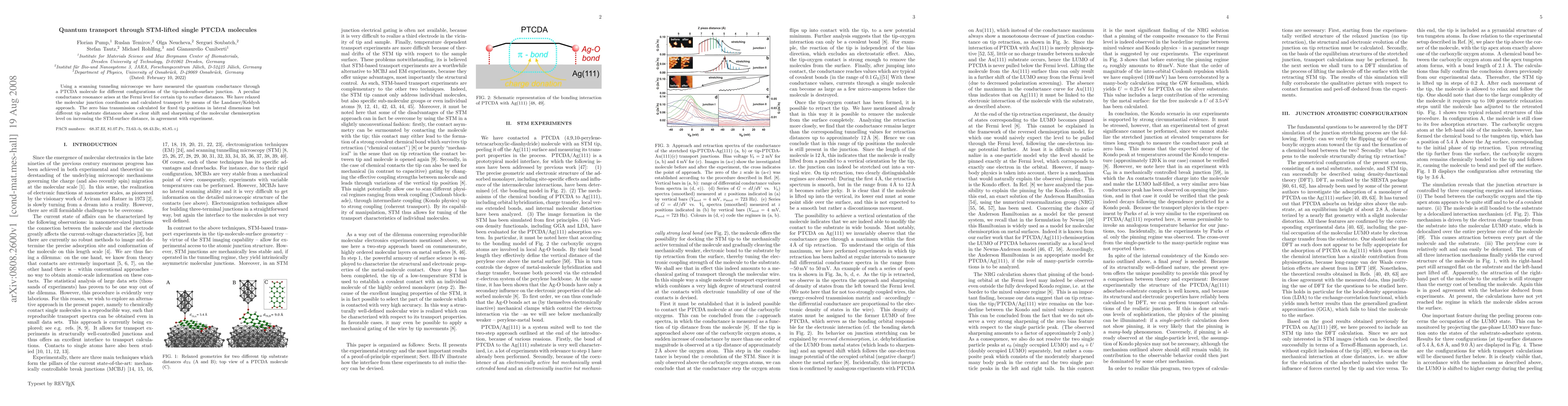 Thumbnail for Quantum transport through STM-lifted single PTCDA molecules