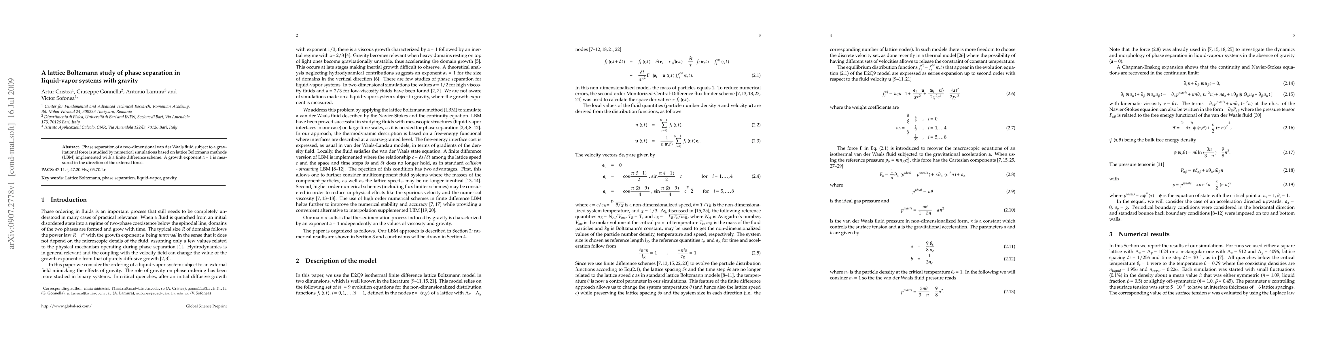 Thumbnail for A lattice Boltzmann study of phase separation in liquid-vapor systems
  with gravity