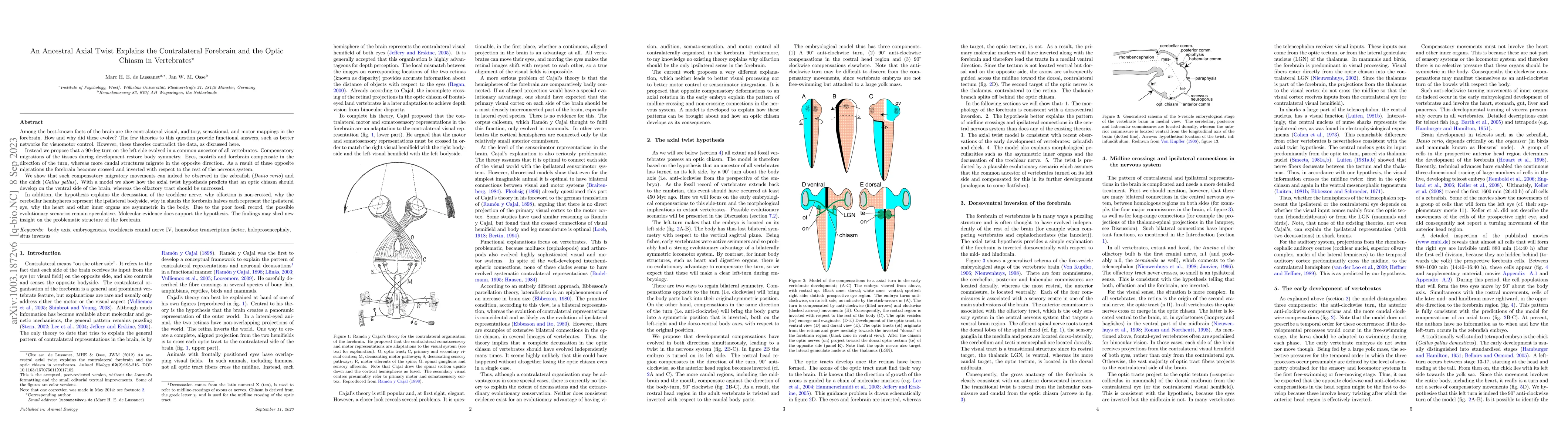 Thumbnail for An ancestral axial twist explains the contralateral forebrain and the
  optic chiasm in vertebrates