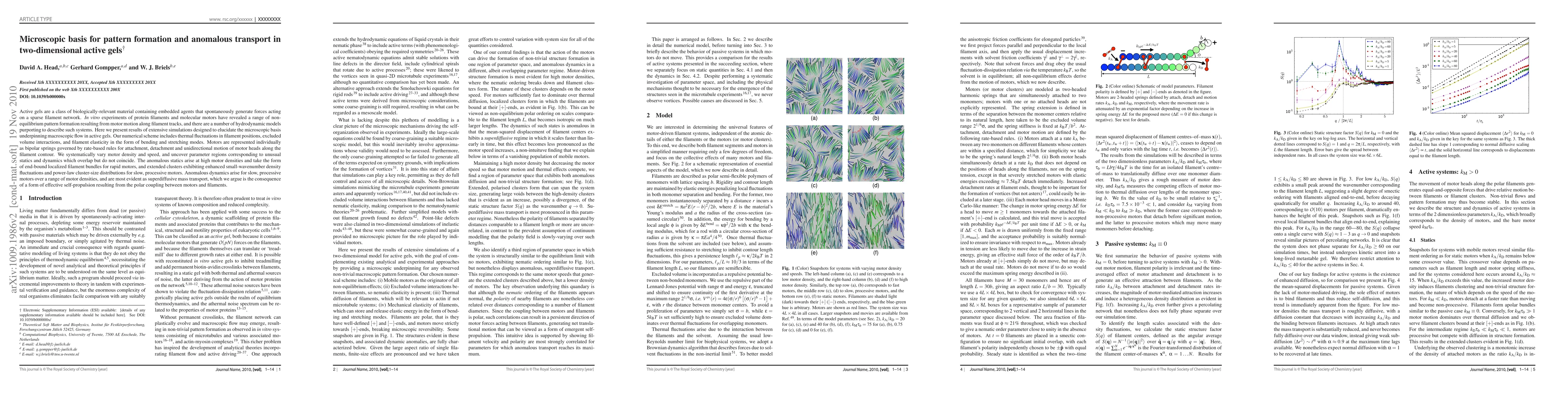 Thumbnail for Microscopic basis for pattern formation and anomalous transport in
  two-dimensional active gels