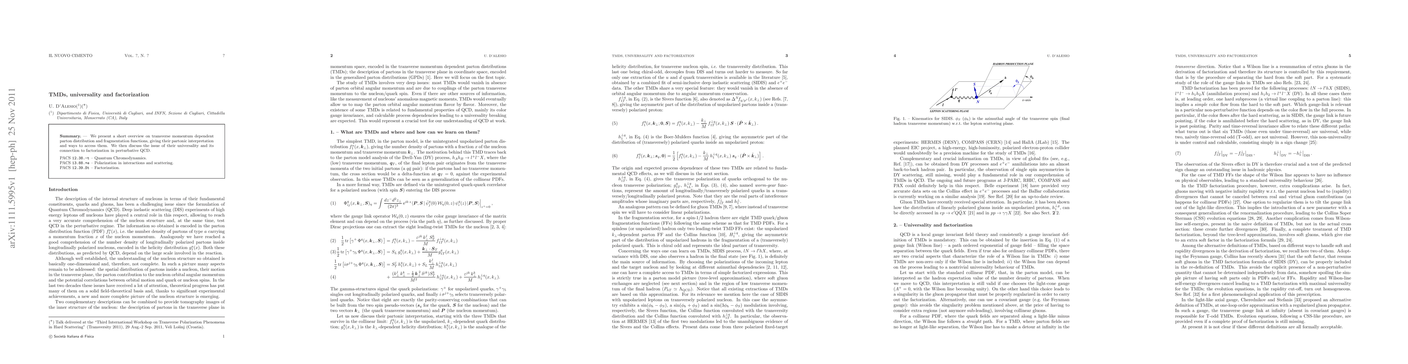 Thumbnail for TMDs, universality and factorization