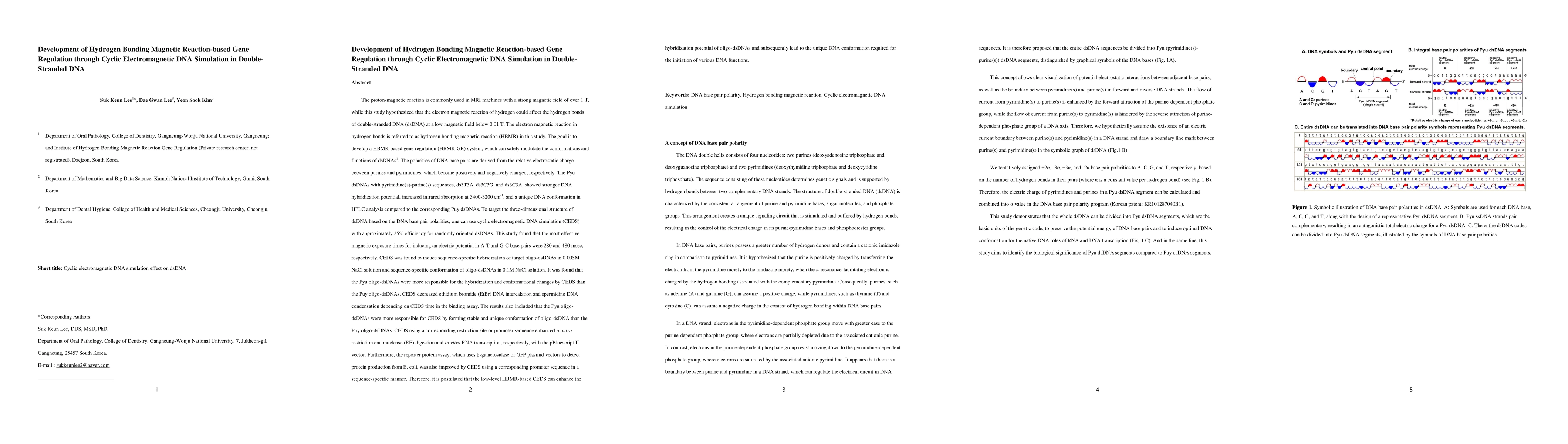 Thumbnail for Development of Hydrogen Bonding Magnetic Reaction-based Gene Regulation
  through Cyclic Electromagnetic DNA Simulation in Double-Stranded DNA