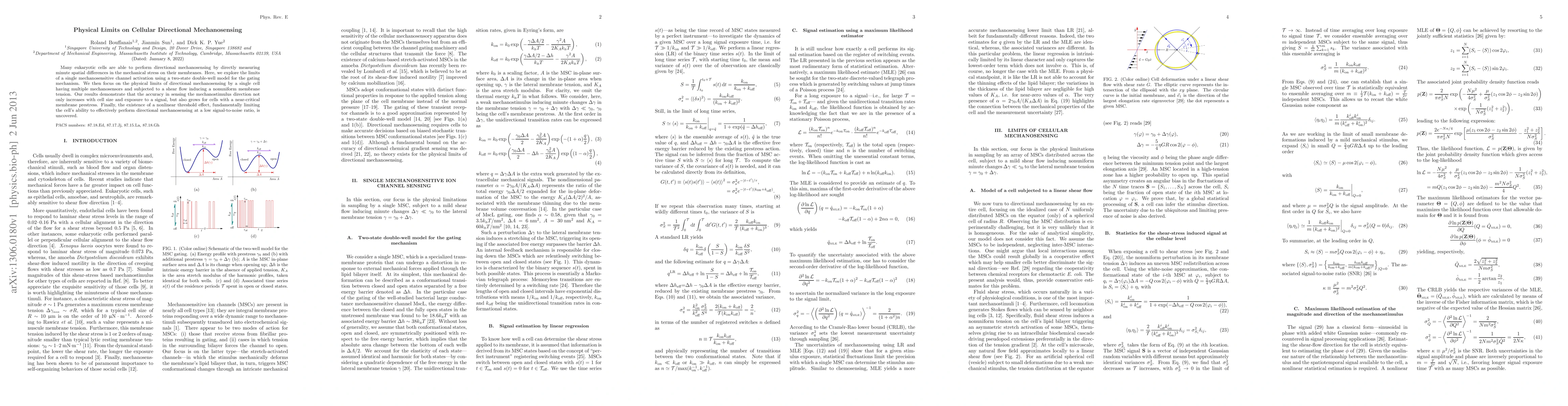 Thumbnail for Physical limits on cellular directional mechanosensing