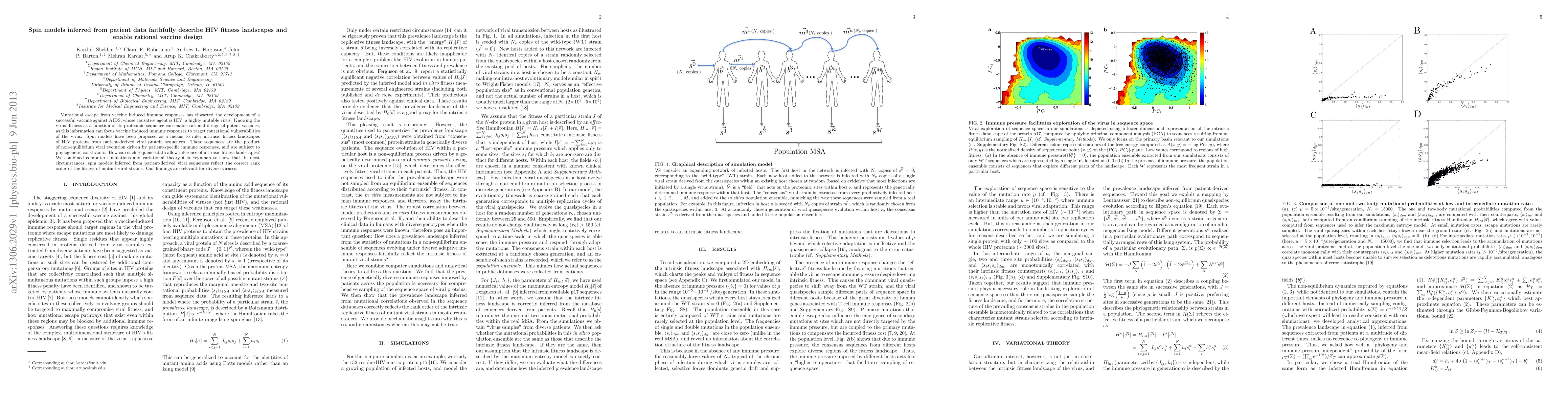 Thumbnail for Spin models inferred from patient data faithfully describe HIV fitness
  landscapes and enable rational vaccine design