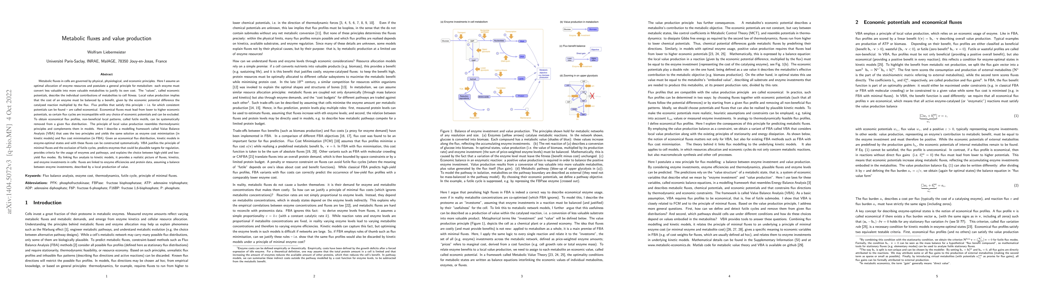 Thumbnail for Metabolic fluxes and value production