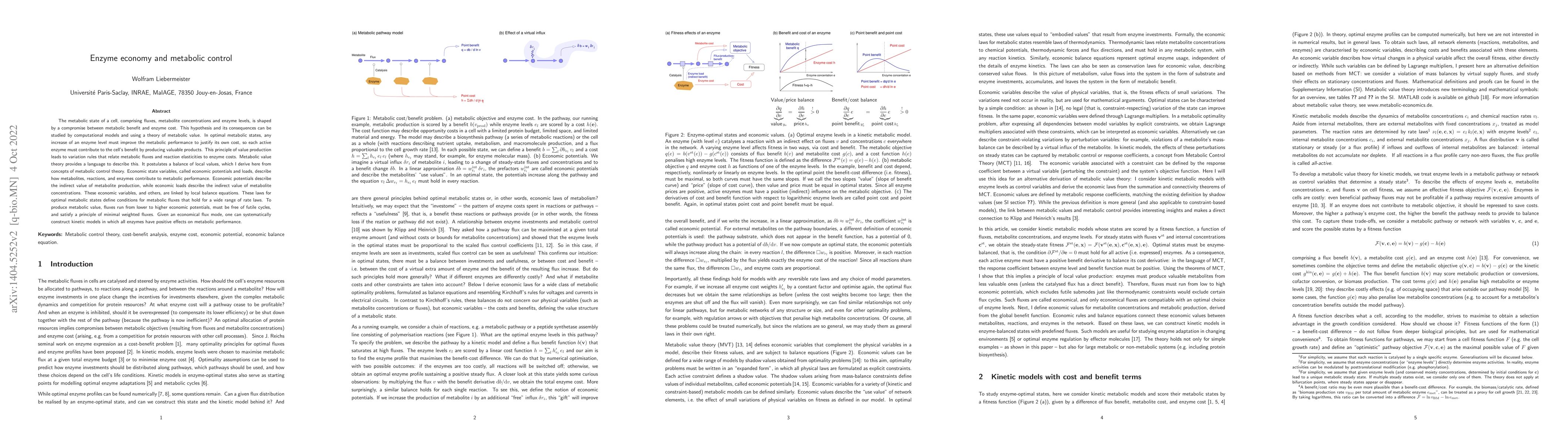 Thumbnail for Enzyme economy and metabolic control