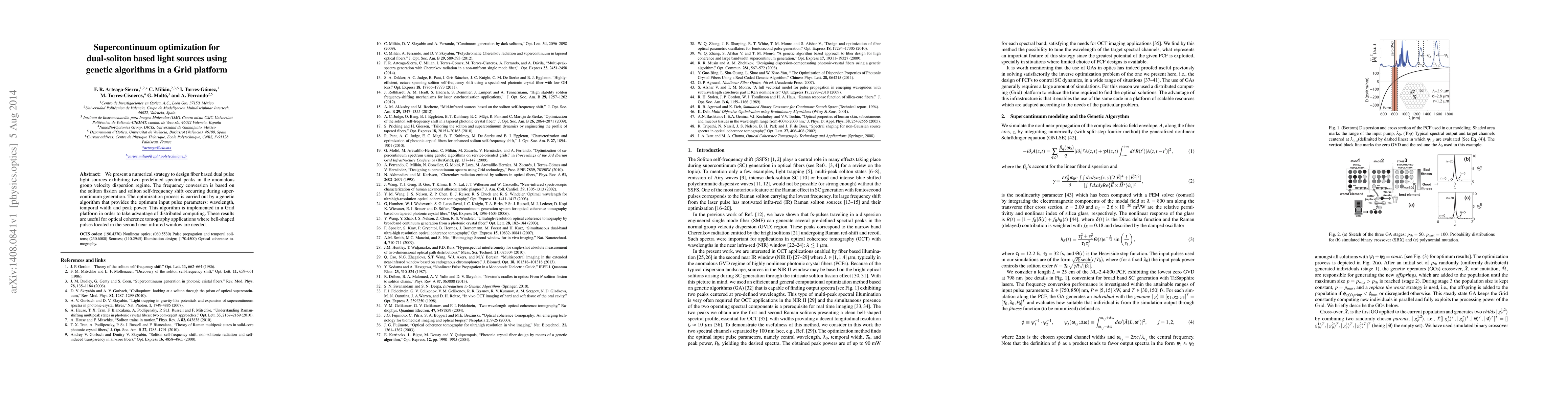 Thumbnail for Supercontinuum optimization for dual-soliton based light sources using
  genetic algorithms in a Grid platform