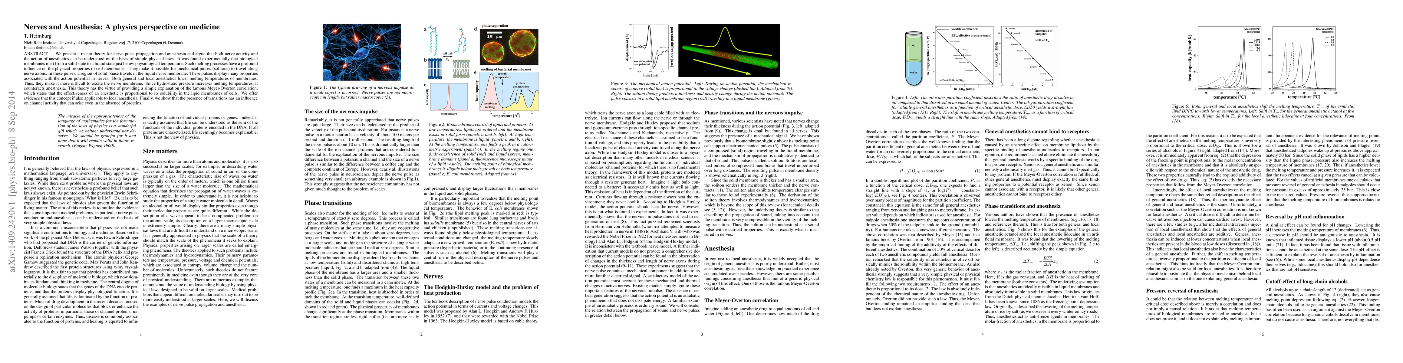 Thumbnail for Nerves and Anesthesia: A physics perspective on medicine