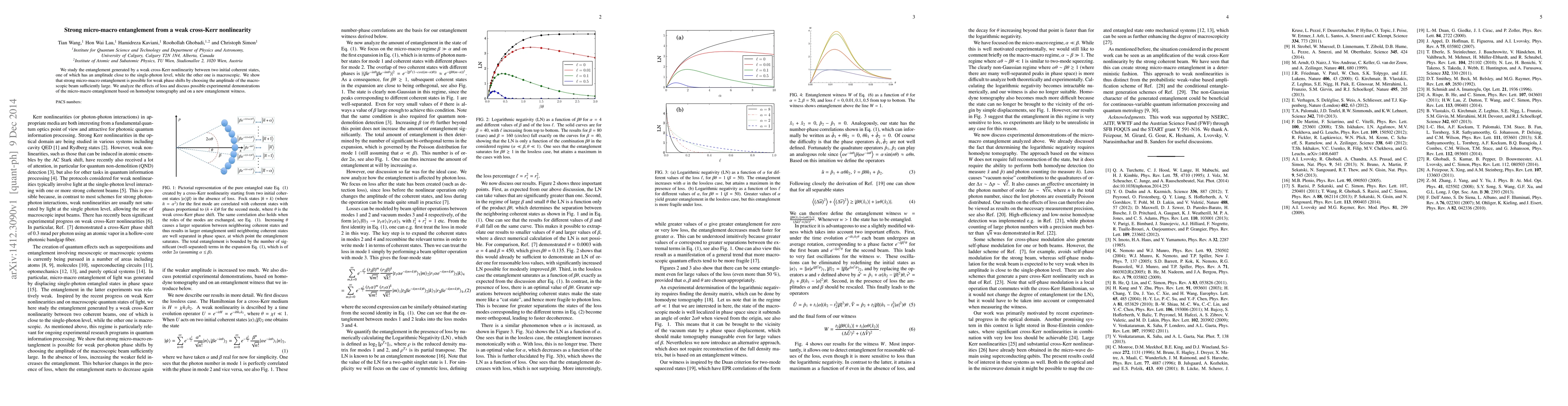 Thumbnail for Strong micro-macro entanglement from a weak cross-Kerr nonlinearity