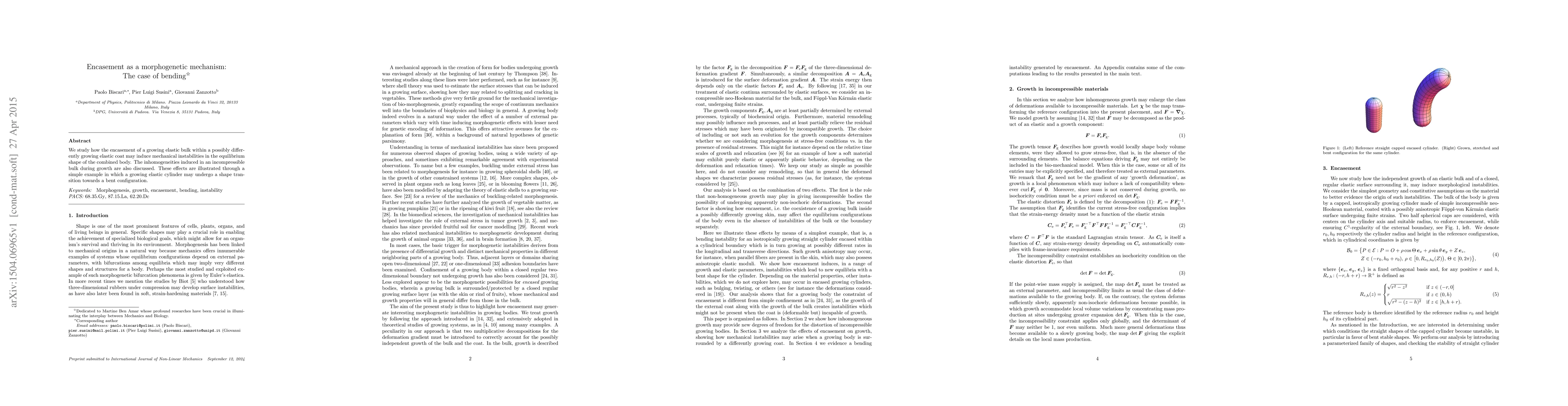 Thumbnail for Encasement as a morphogenetic mechanism: The case of bending