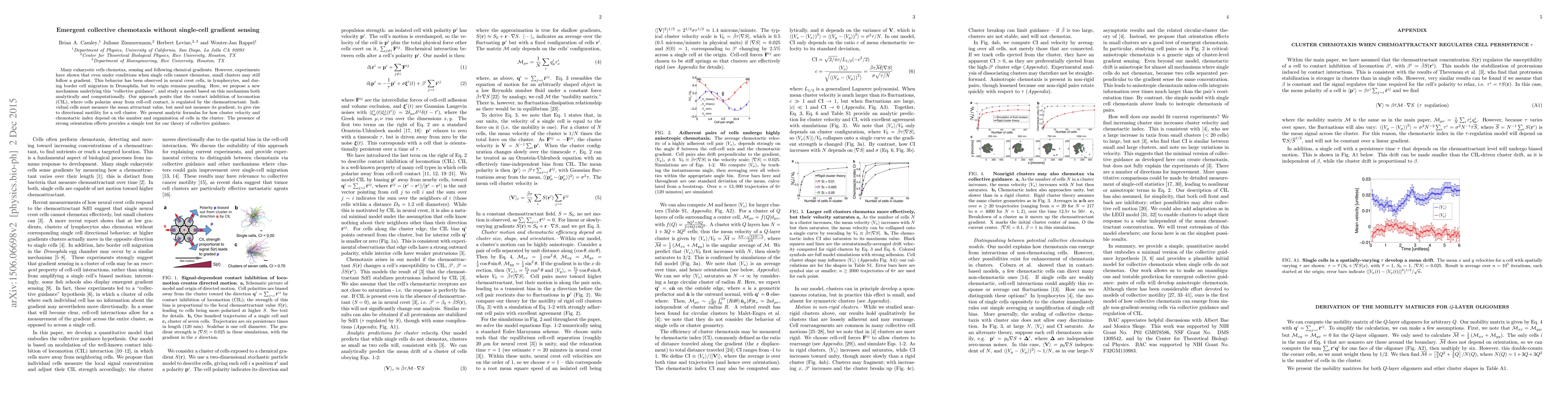 Thumbnail for Emergent collective chemotaxis without single-cell gradient sensing