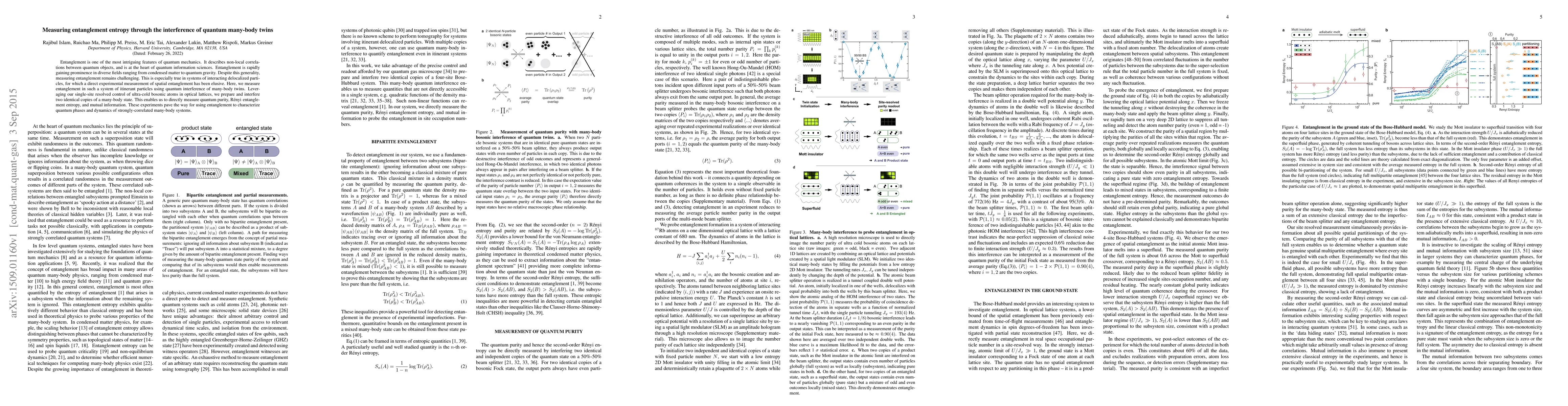 Thumbnail for Measuring entanglement entropy through the interference of quantum
  many-body twins