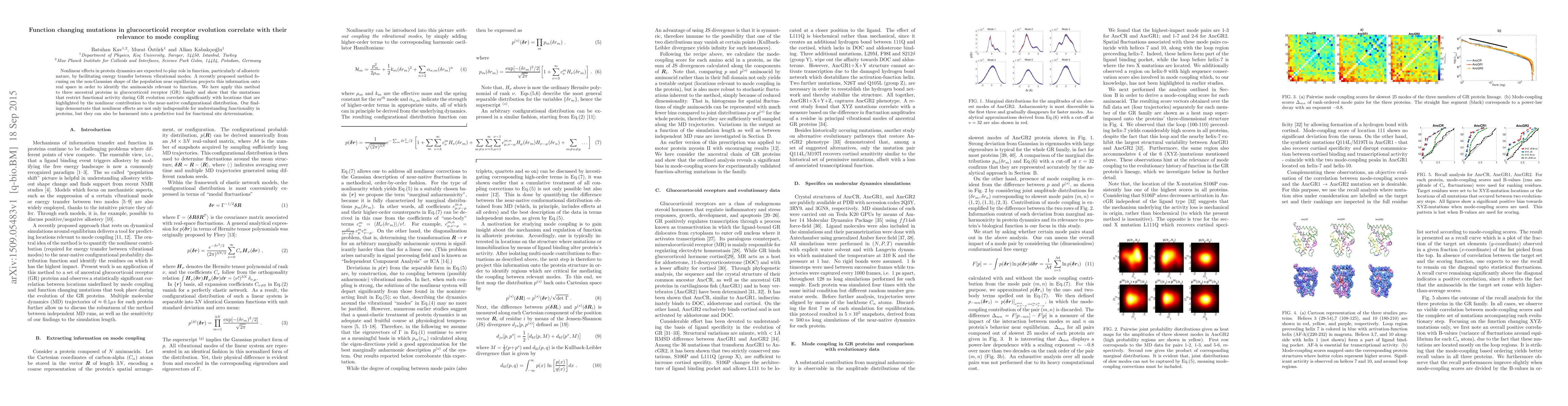 Thumbnail for Function changing mutations in glucocorticoid receptor evolution
  correlate with their relevance to mode coupling