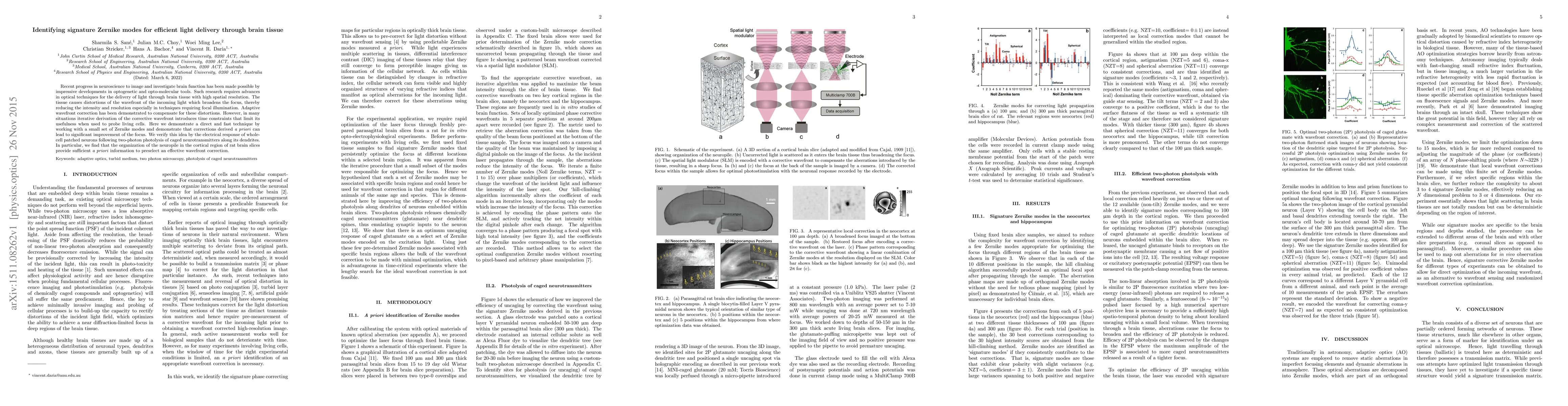 Thumbnail for Identifying signature Zernike modes for efficient light delivery through
  brain tissue