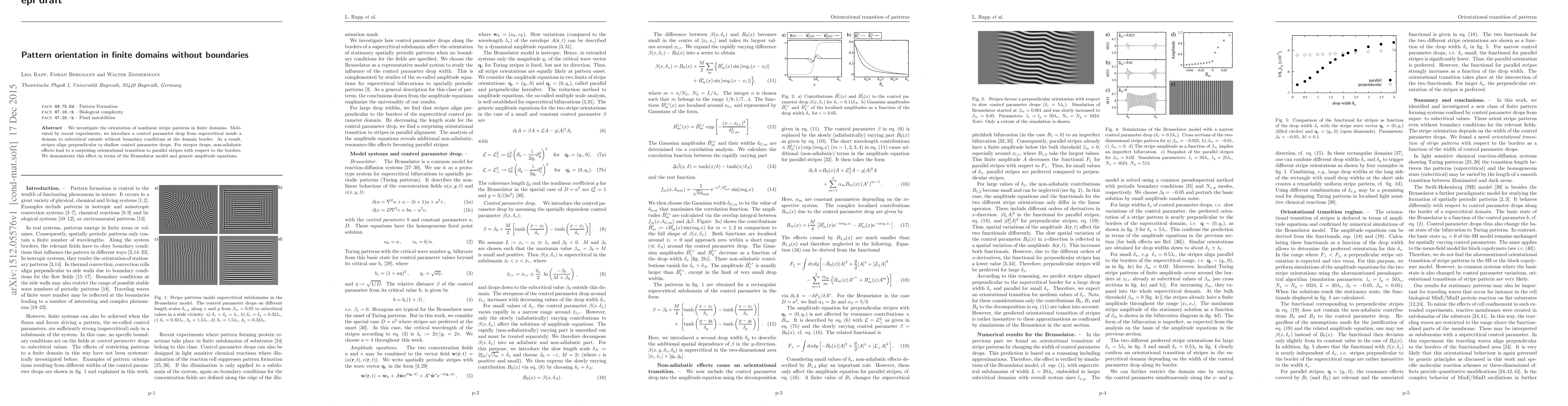 Thumbnail for Pattern orientation in finite domains without boundaries
