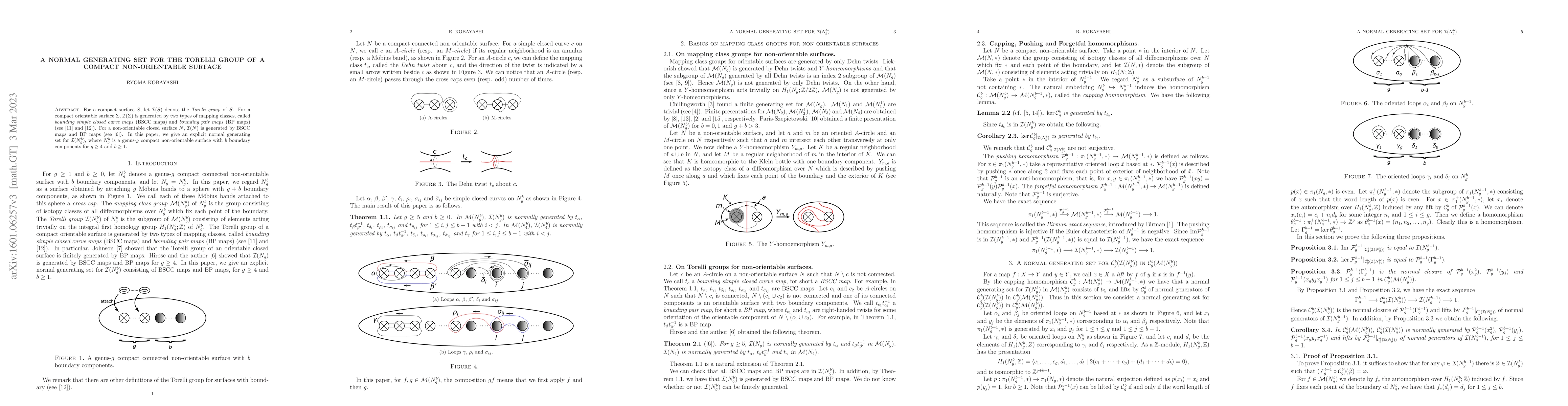 Thumbnail for A normal generating set for the Torelli group of a compact
  non-orientable surface