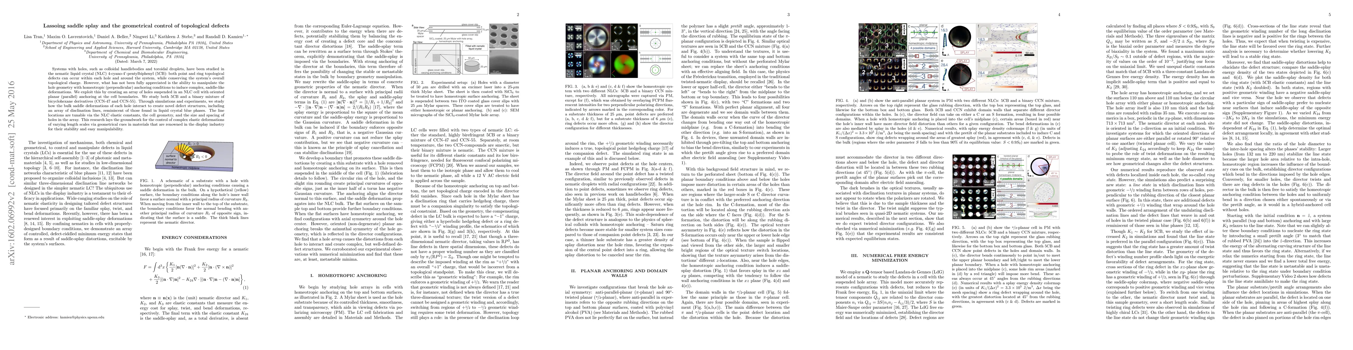 Thumbnail for Lassoing saddle splay and the geometrical control of topological defects