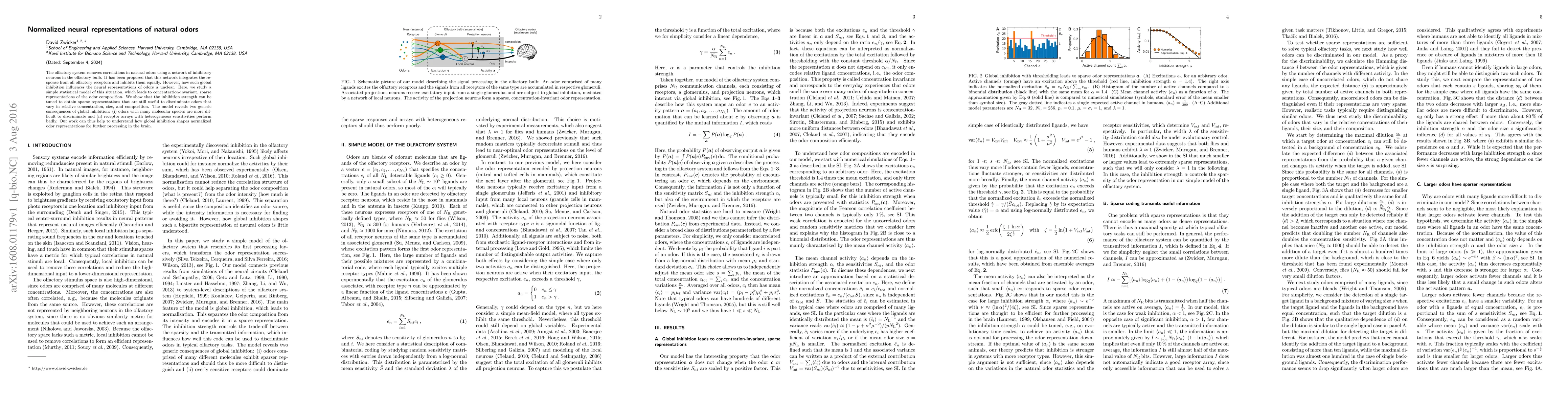 Thumbnail for Normalized neural representations of natural odors