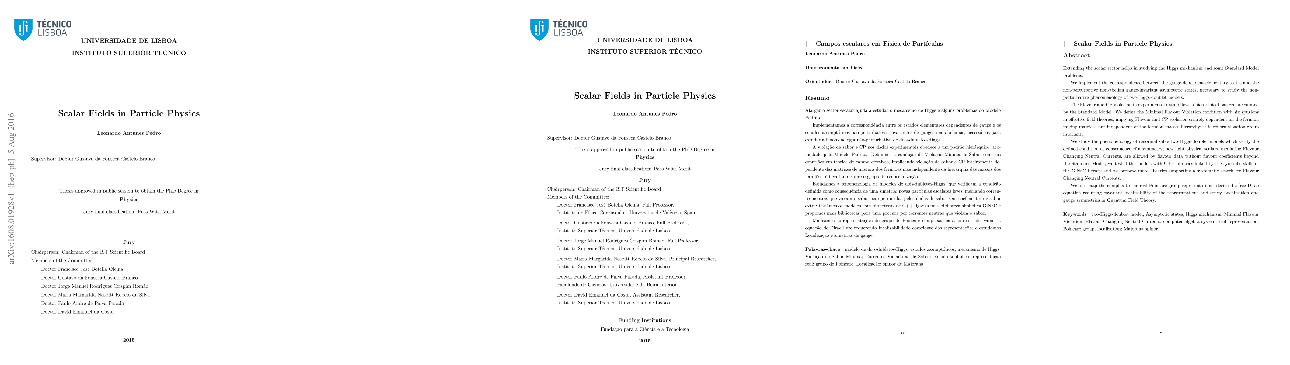 Thumbnail for Scalar Fields in Particle Physics