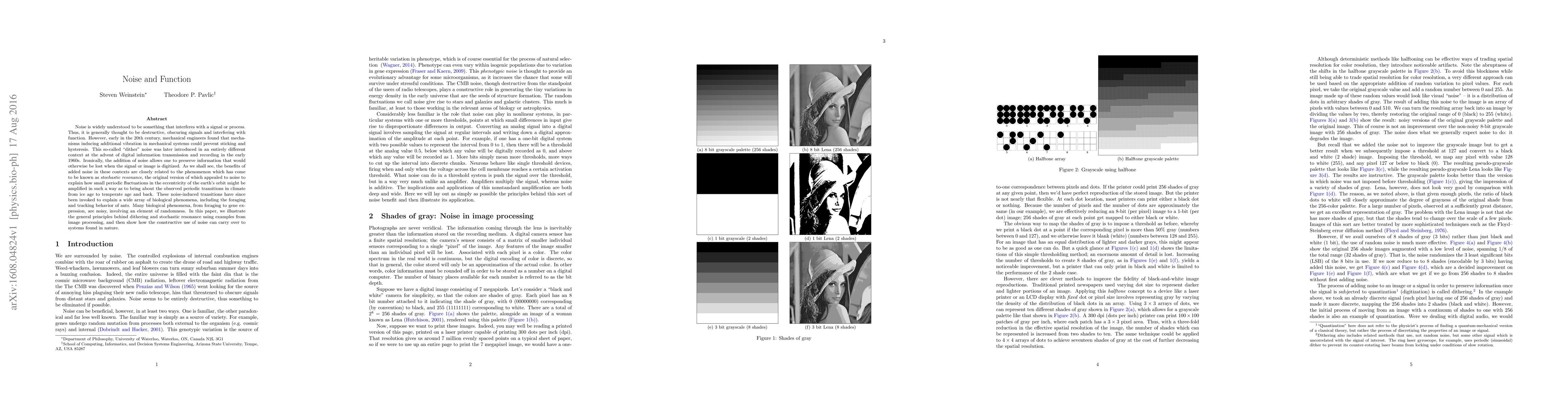 Thumbnail for Noise and Function