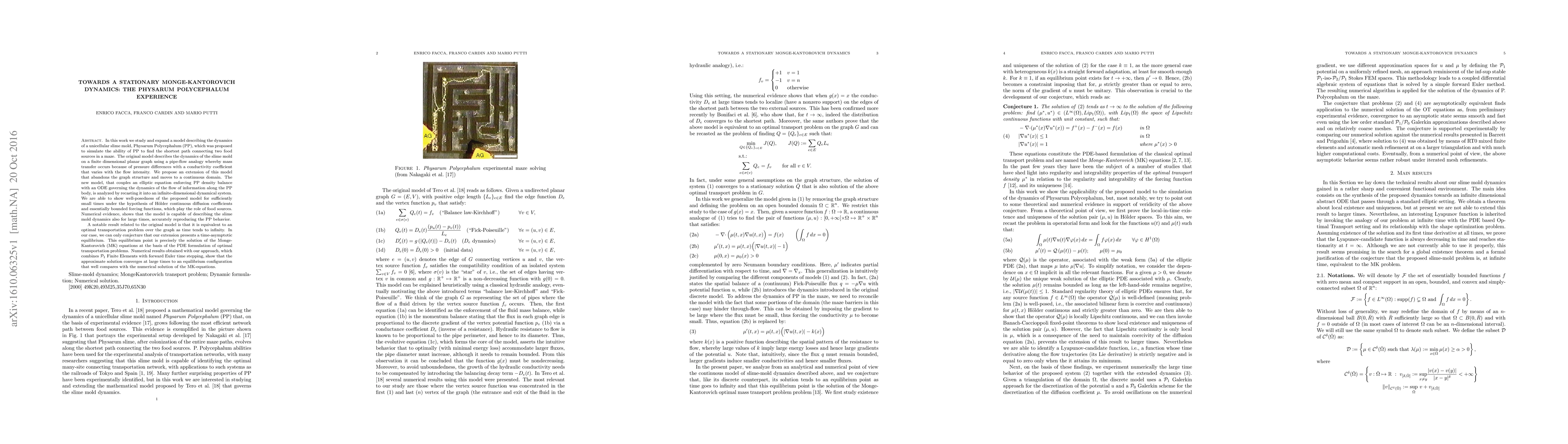Thumbnail for Towards a stationary Monge-Kantorovich dynamics: the Physarum
  Polycephalum experience