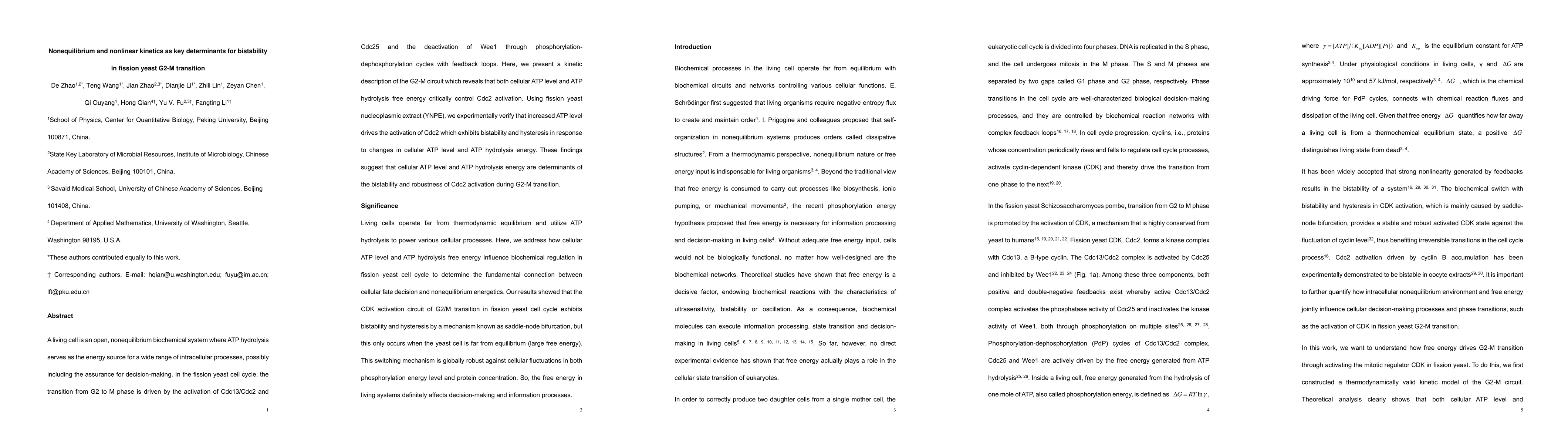 Thumbnail for Nonequilibrium and nonlinear kinetics as key determinants for
  bistability in fission yeast G2-M transition