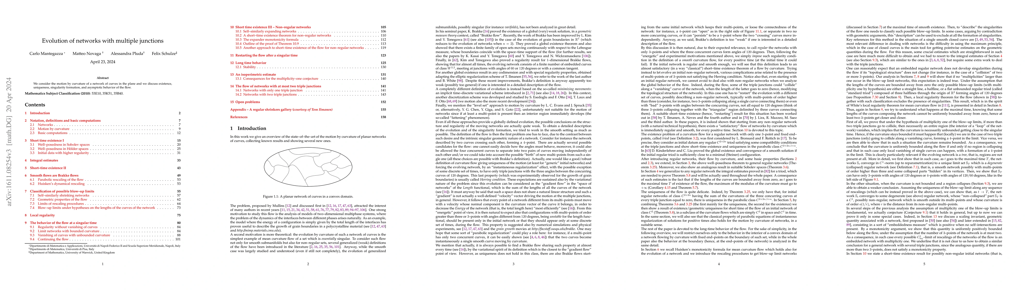 Thumbnail for Evolution of networks with multiple junctions