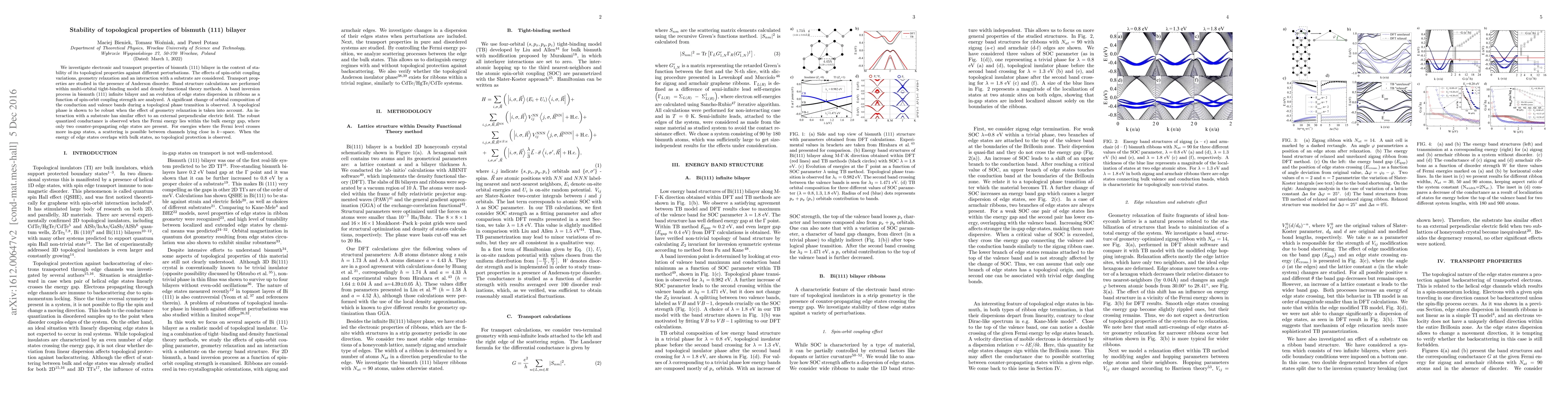 Thumbnail for Stability of topological properties of bismuth (111) bilayer