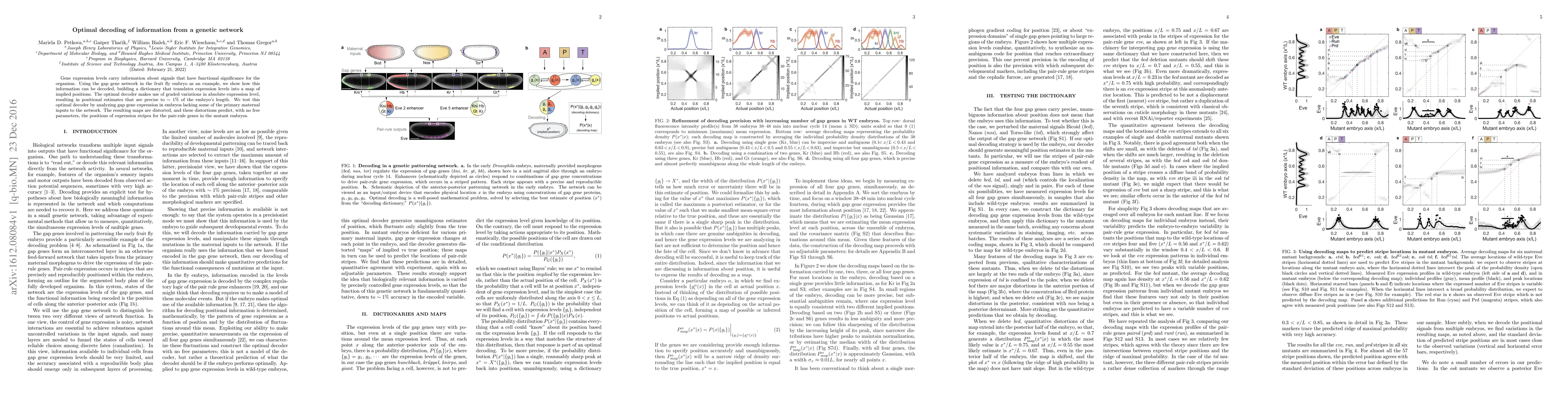 Thumbnail for Optimal decoding of information from a genetic network