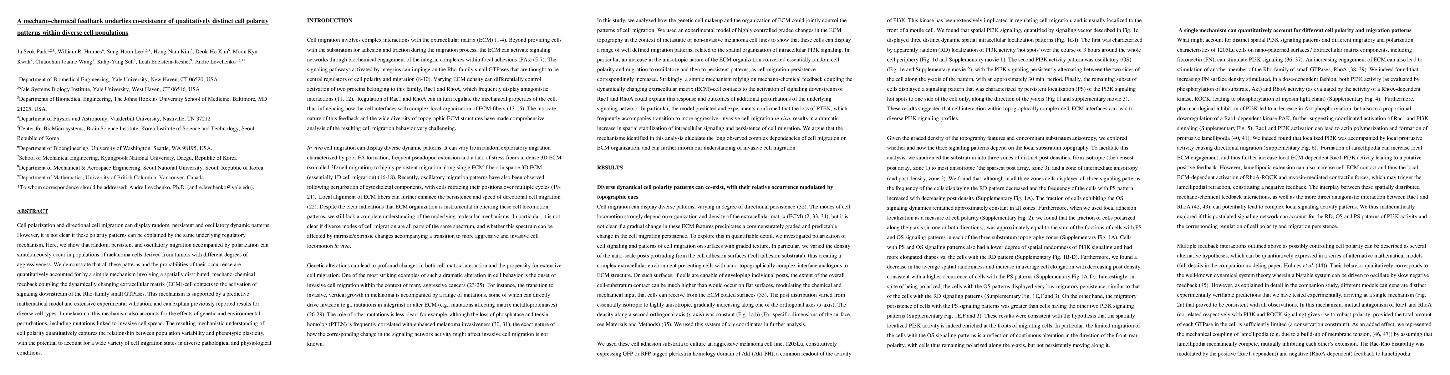 Thumbnail for A mechano-chemical feedback underlies co-existence of qualitatively
  distinct cell polarity patterns within diverse cell populations