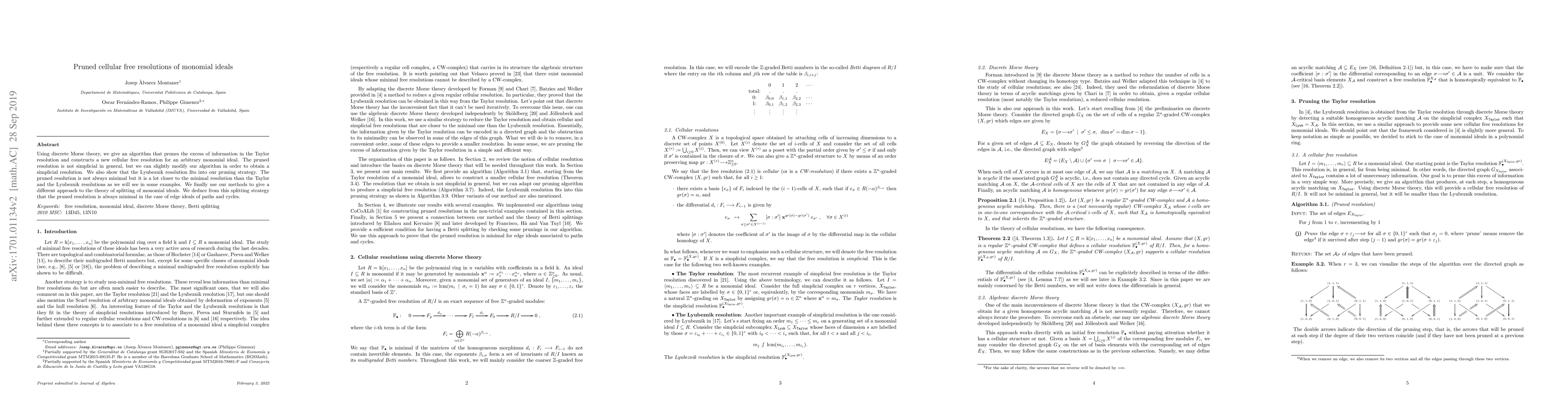 Thumbnail for Pruned cellular free resolutions of monomial ideals