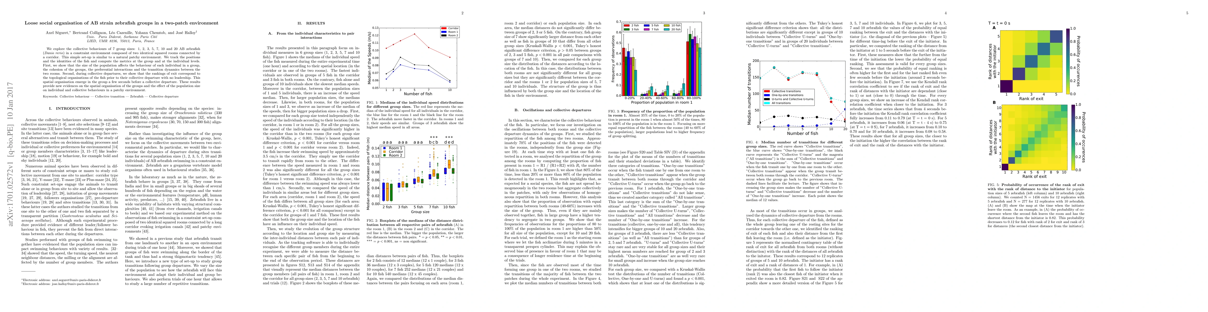 Thumbnail for Loose social organisation of AB strain zebrafish groups in a two-patch
  environment