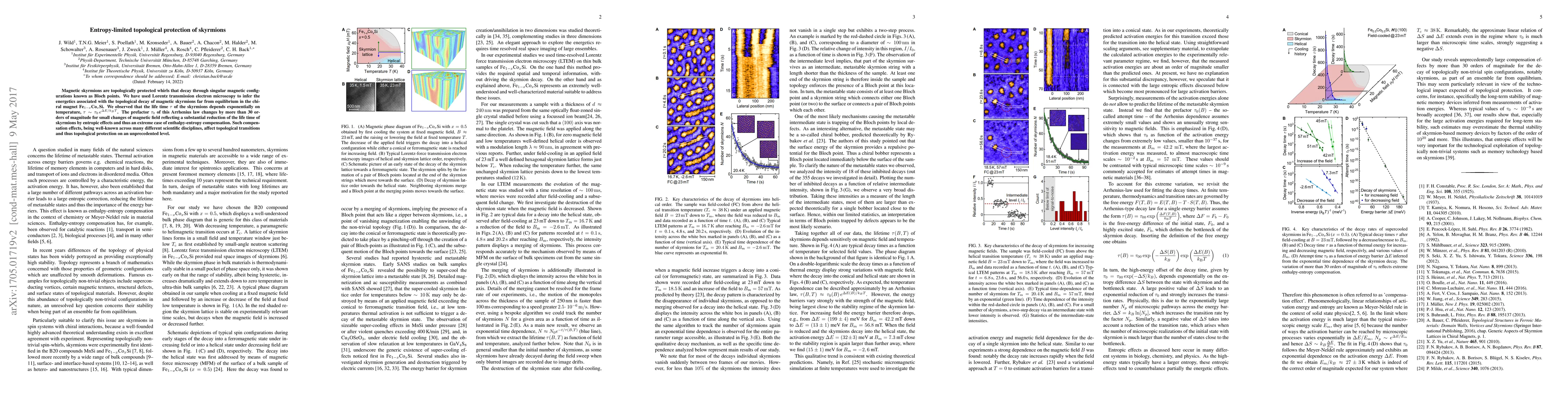 Thumbnail for Entropy-limited topological protection of skyrmions