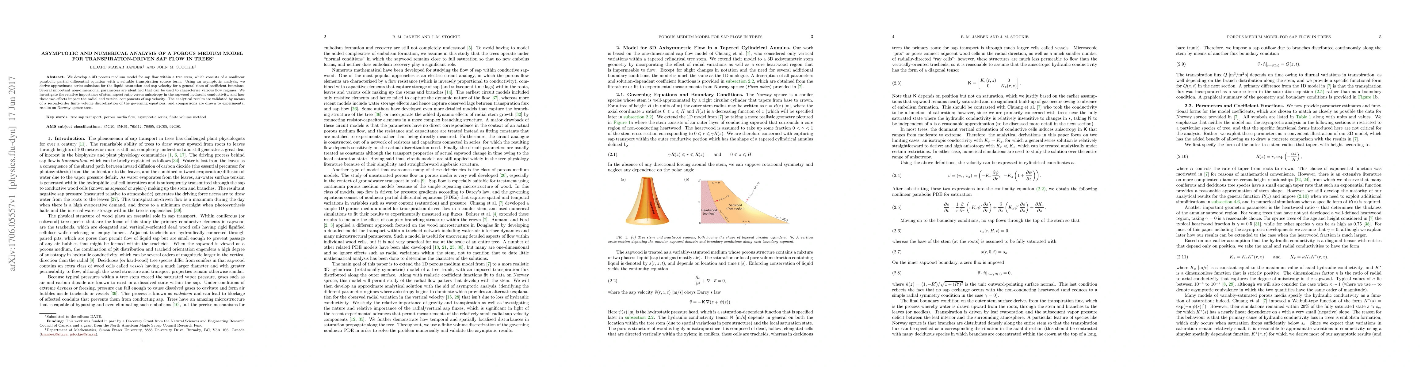 Thumbnail for Asymptotic and numerical analysis of a porous medium model for
  transpiration-driven sap flow in trees