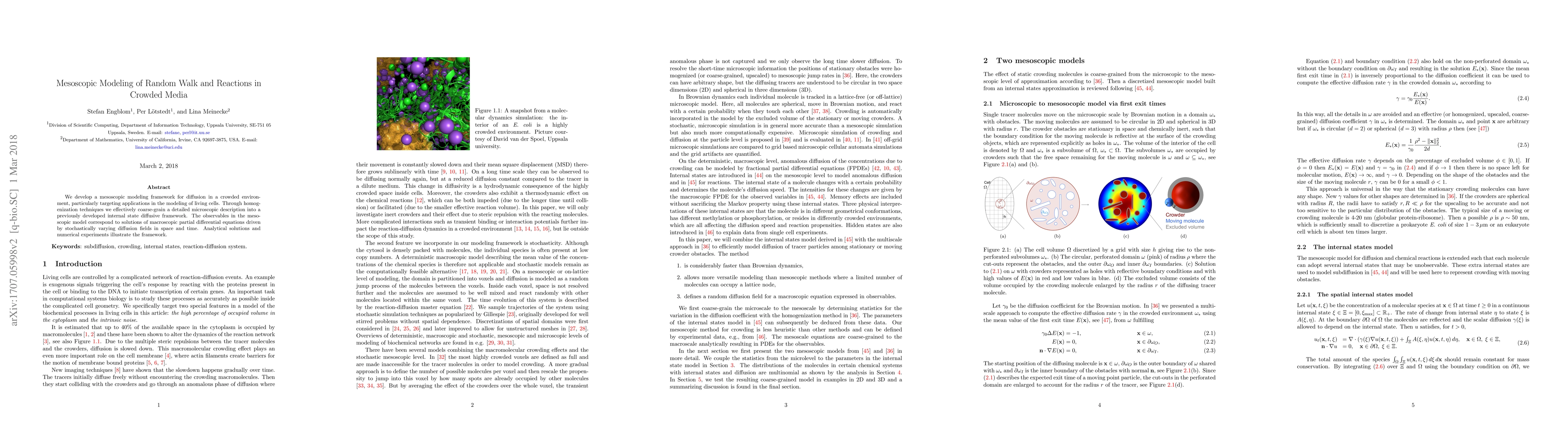 Thumbnail for Mesoscopic Modeling of Random Walk and Reactions in Crowded Media