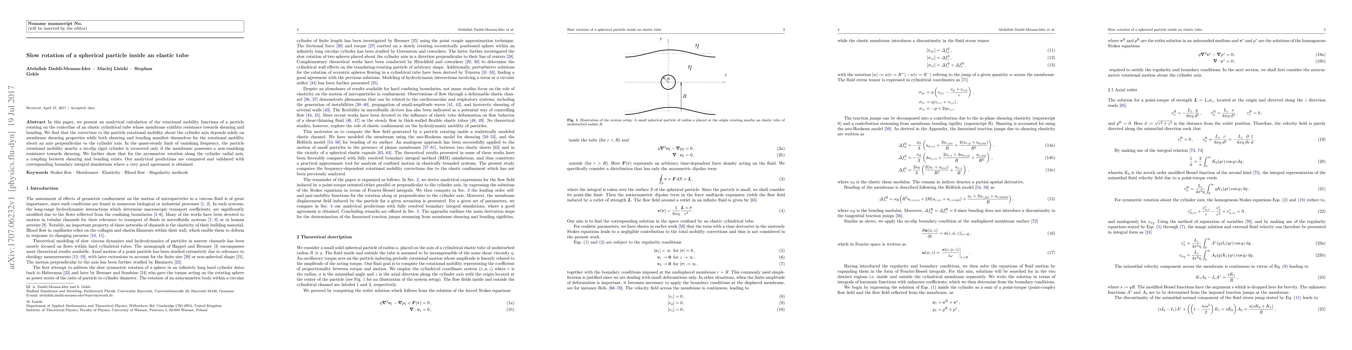 Thumbnail for Slow rotation of a spherical particle inside an elastic tube