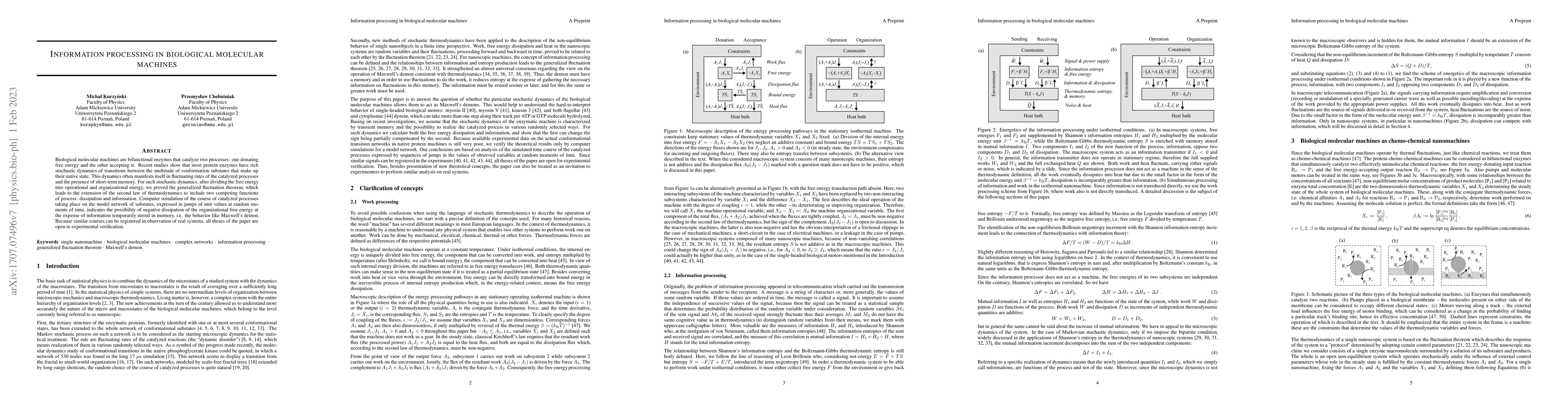Thumbnail for Information processing in biological molecular machines