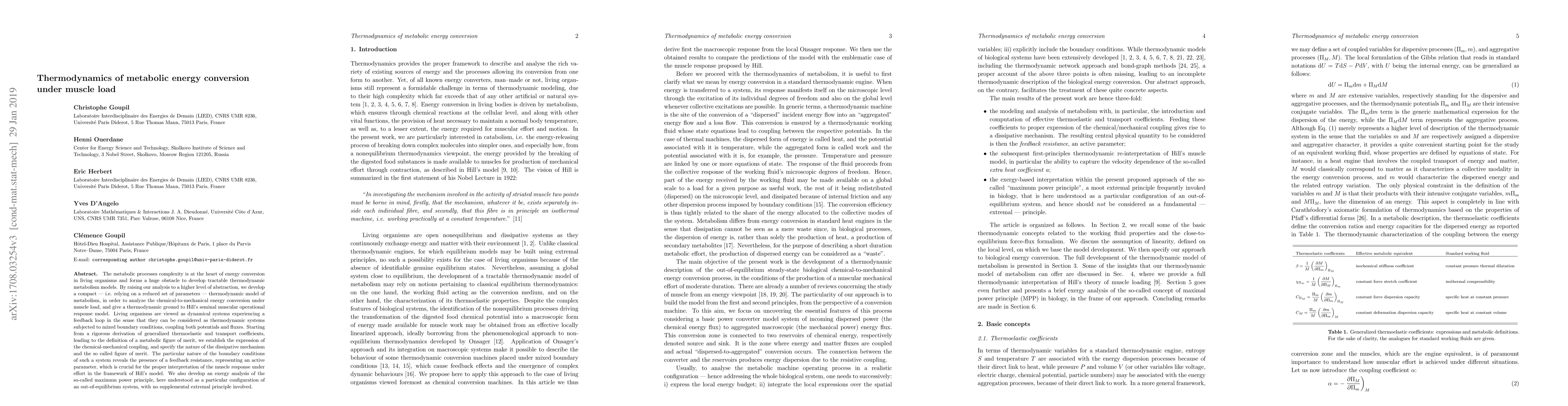 Thumbnail for Thermodynamics of metabolic energy conversion under muscle load