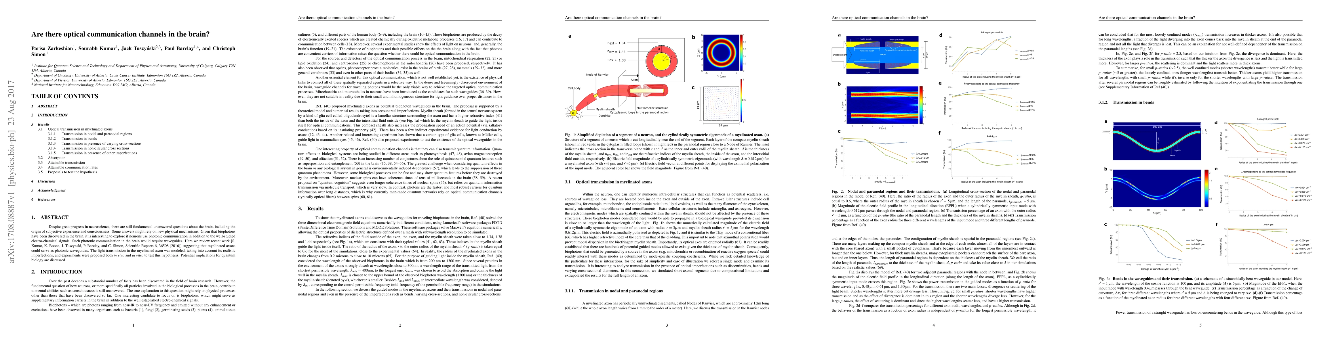 Thumbnail for Are there optical communication channels in the brain?