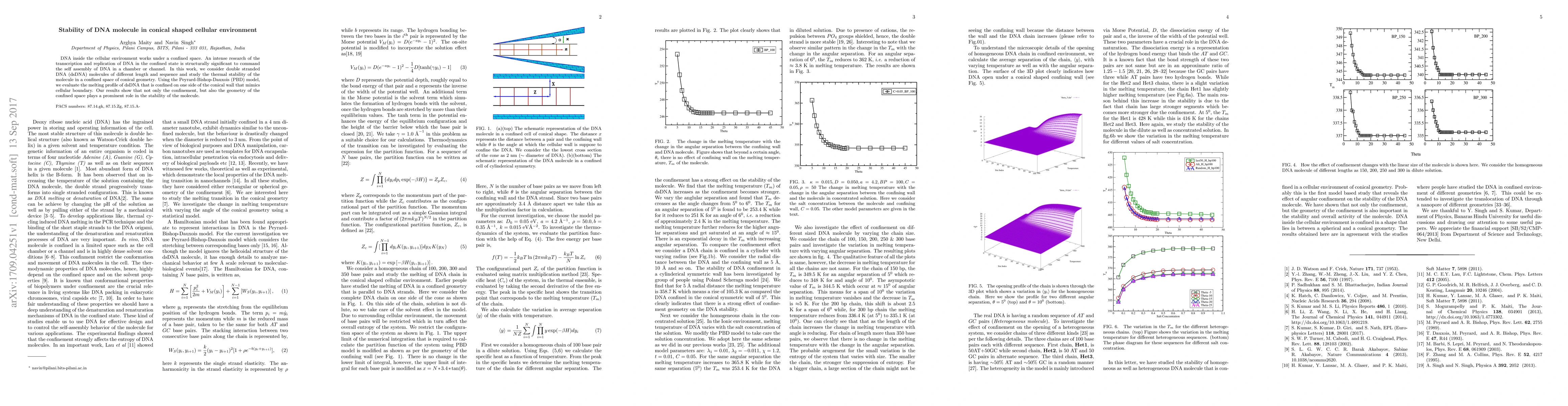 Thumbnail for Stability of DNA molecule in conical shaped cellular environment